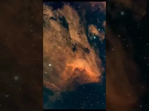 Nebulosa del Pelícano o IC 5070